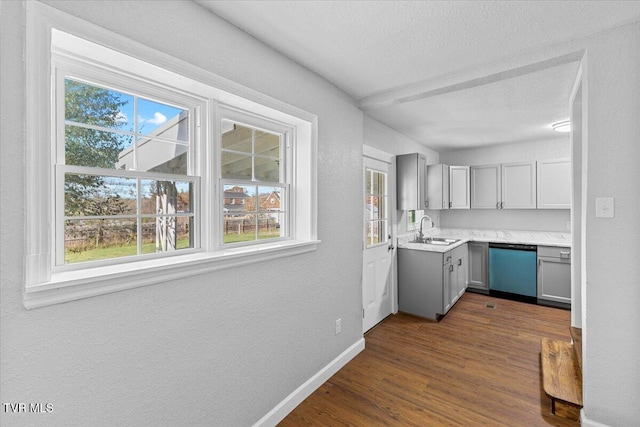 kitchen with dark wood-type flooring, a wealth of natural light, sink, and dishwasher