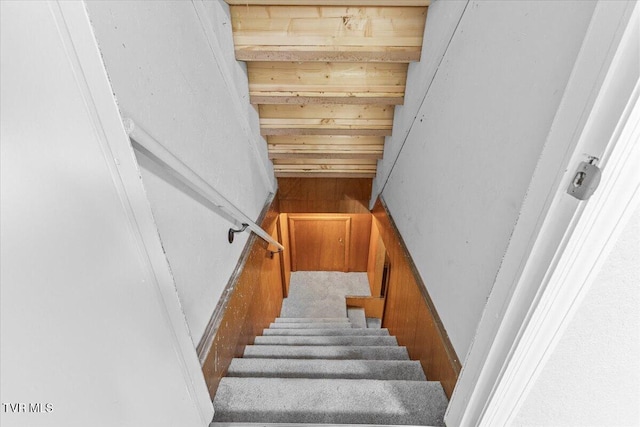 stairway featuring wood walls