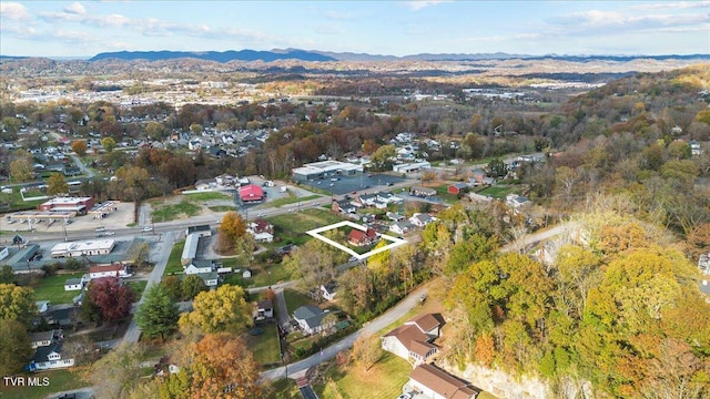 birds eye view of property featuring a mountain view