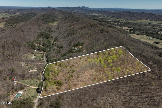 birds eye view of property featuring a mountain view