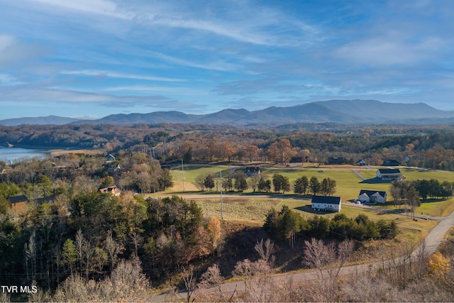 view of mountain feature with a rural view