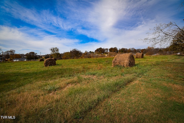 view of local wilderness with a rural view