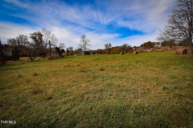 view of yard with a rural view