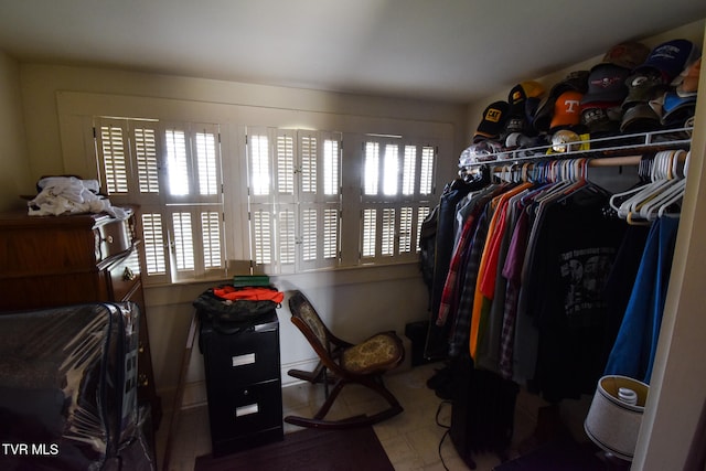 view of spacious closet