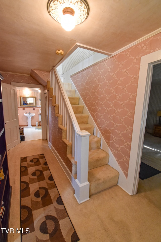 stairs with crown molding and carpet floors