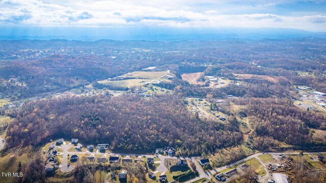 TBD King Mill Pike, Bristol, VA 24201