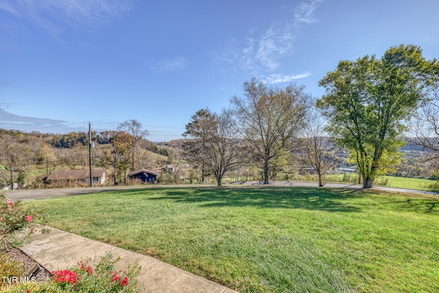 view of yard with a rural view and a mountain view