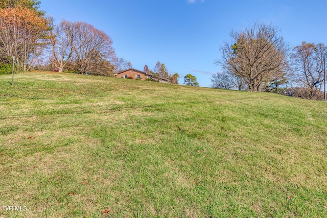 view of yard featuring a rural view