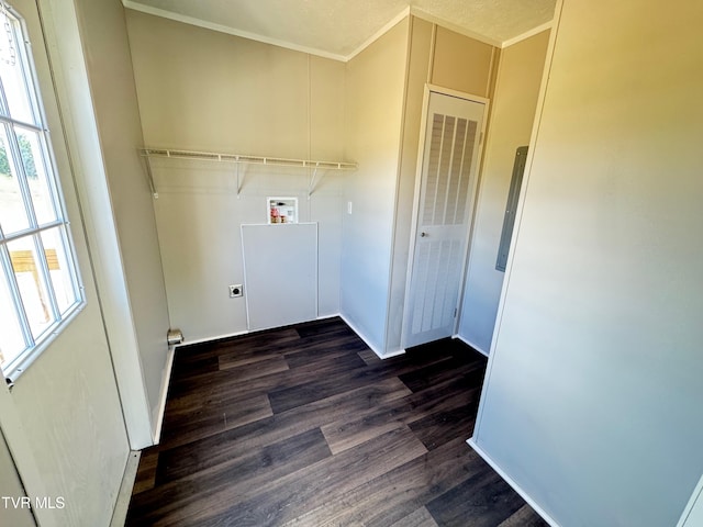 clothes washing area with dark hardwood / wood-style flooring, electric dryer hookup, a textured ceiling, crown molding, and hookup for a washing machine