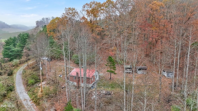 552 Jerrys Br, Clintwood, VA 24228 - view from above of property