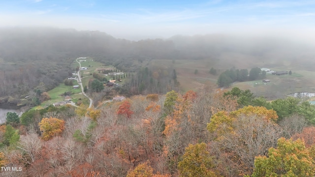 aerial view with a rural view