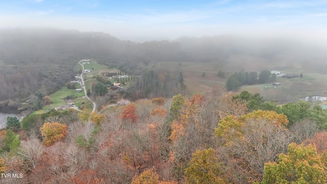 552 Jerrys Br, Clintwood, VA 24228 - aerial view of property and surrounding area with a forest