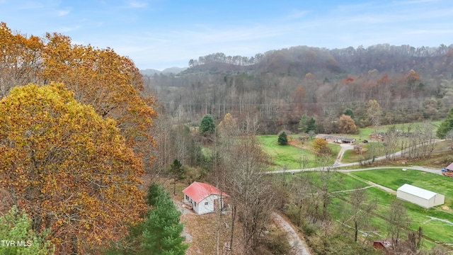 bird's eye view with a rural view