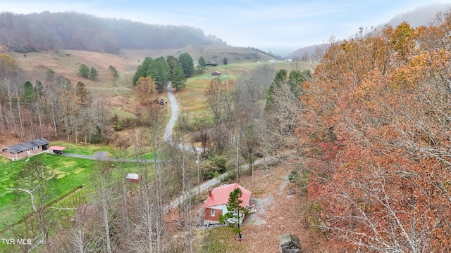 552 Jerrys Br, Clintwood, VA 24228 - view of rural area