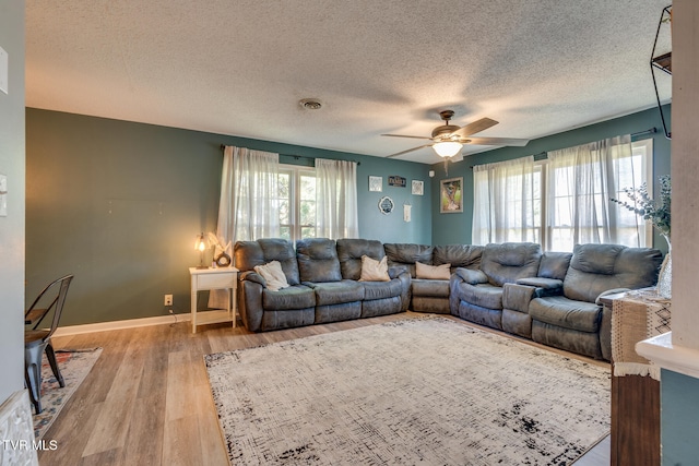 living room featuring ceiling fan, a textured ceiling, and light hardwood / wood-style floors