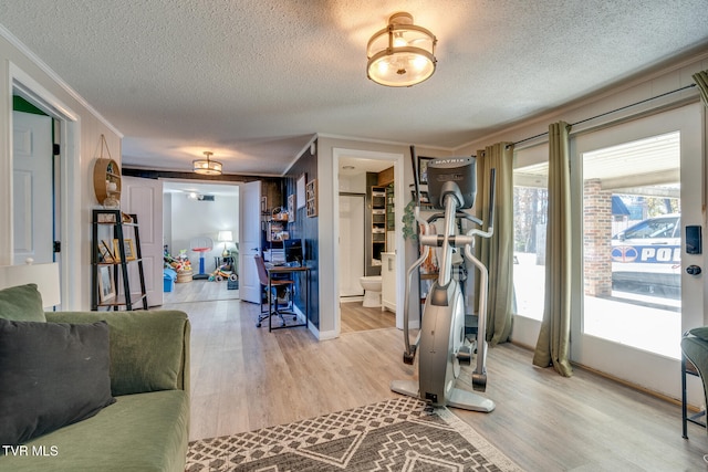 workout area with light hardwood / wood-style flooring, a textured ceiling, and crown molding