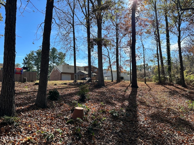 view of yard with a garage