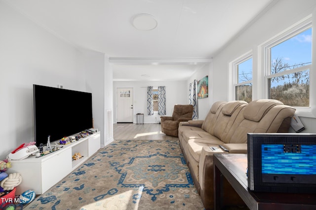 living room with wood-type flooring and crown molding