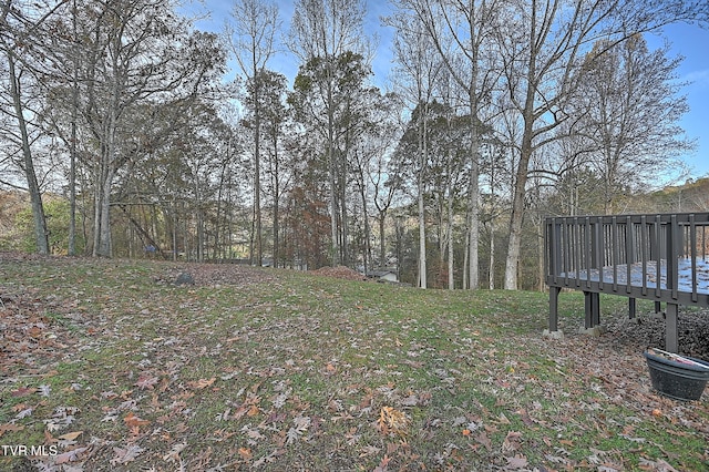 view of yard featuring a wooden deck