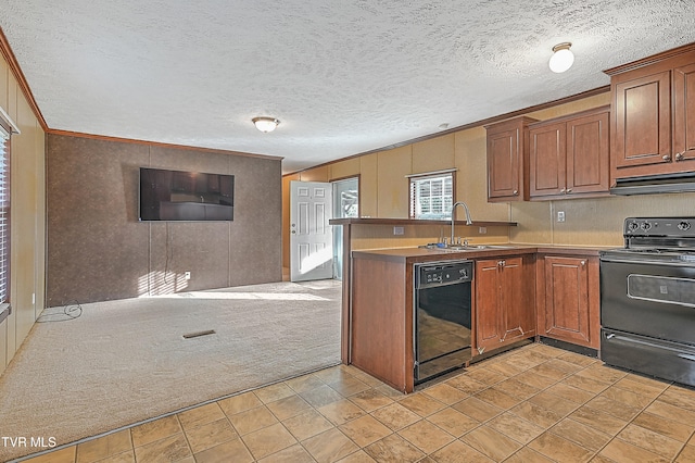 kitchen featuring sink, black appliances, ornamental molding, a textured ceiling, and light colored carpet