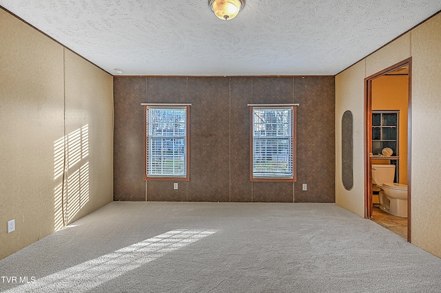 unfurnished room featuring a textured ceiling and carpet flooring