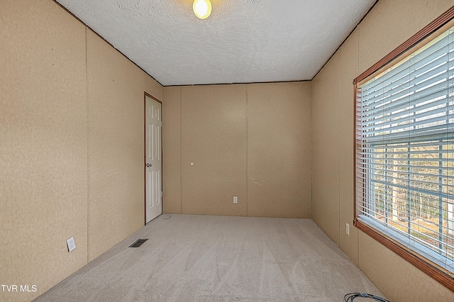 carpeted spare room featuring a textured ceiling