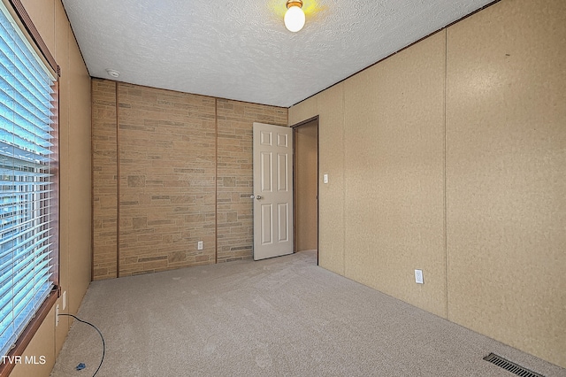 spare room featuring light colored carpet, plenty of natural light, and a textured ceiling