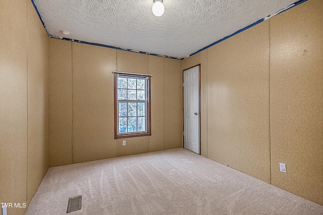 spare room with carpet and a textured ceiling