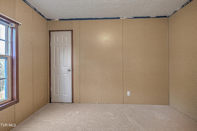 spare room with carpet flooring, plenty of natural light, and a textured ceiling