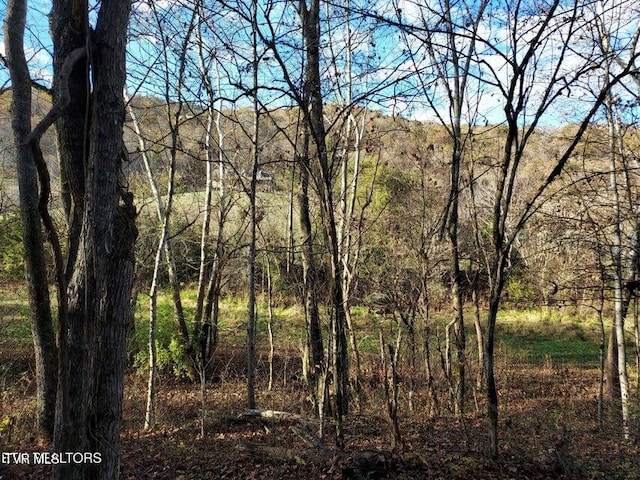 Listing photo 2 for TBD Bullen Valley Rd, Thorn Hill TN 37881