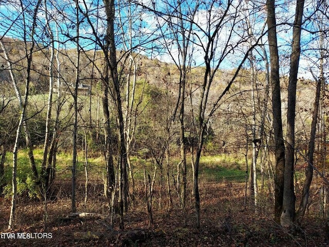 Listing photo 3 for TBD Bullen Valley Rd, Thorn Hill TN 37881