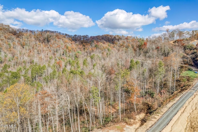 169 Teaberry Rd, Roan Mountain, TN 37687 - photo 19
