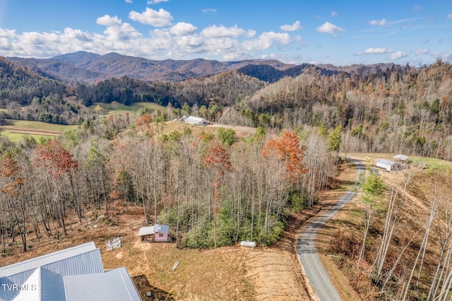 169 Teaberry Rd, Roan Mountain, TN 37687 - photo 18