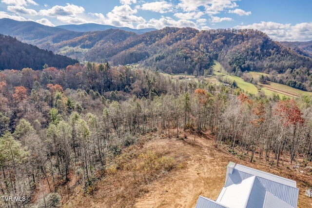 169 Teaberry Rd, Roan Mountain, TN 37687 - photo 17