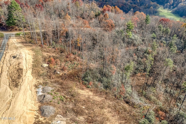 169 Teaberry Rd, Roan Mountain, TN 37687 - photo 16