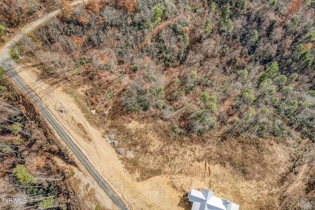 169 Teaberry Rd, Roan Mountain, TN 37687 - photo 15