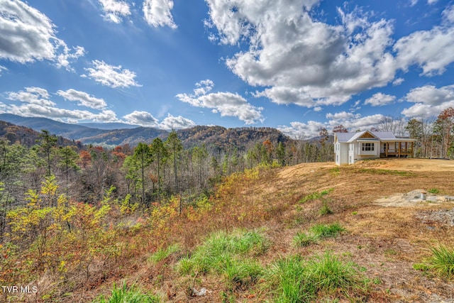 169 Teaberry Rd, Roan Mountain, TN 37687 - photo 46