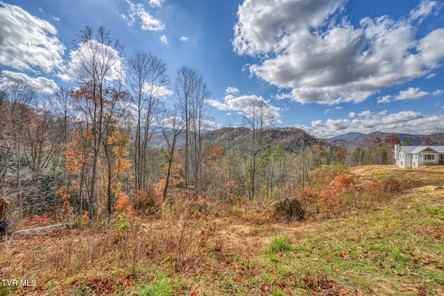 169 Teaberry Rd, Roan Mountain, TN 37687 - photo 45