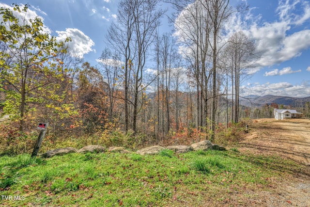 view of yard with a mountain view