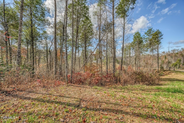 169 Teaberry Rd, Roan Mountain, TN 37687 - photo 56