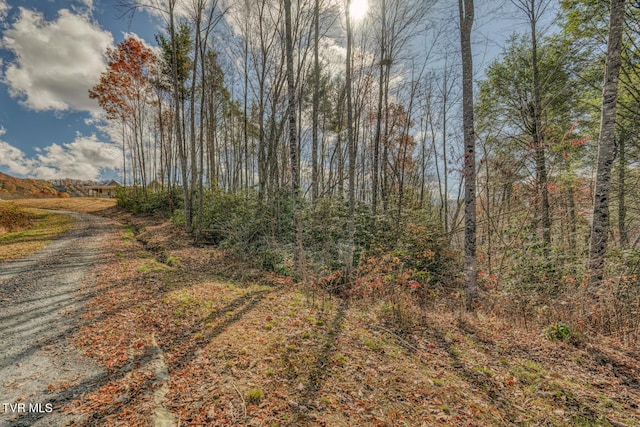 169 Teaberry Rd, Roan Mountain, TN 37687 - photo 55