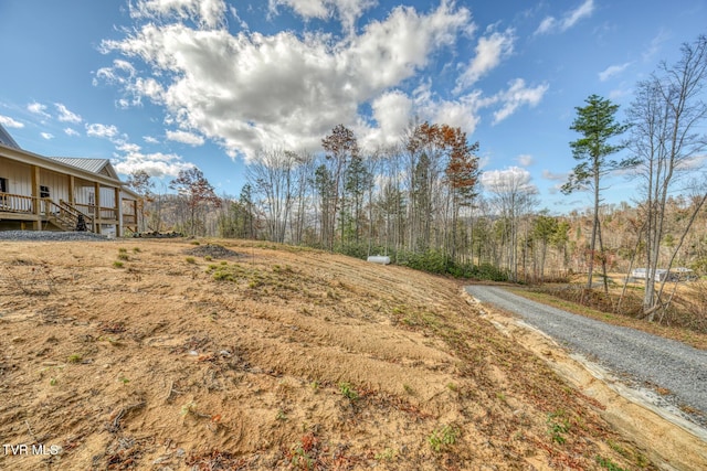 169 Teaberry Rd, Roan Mountain, TN 37687 - photo 53