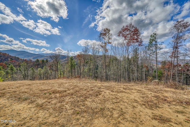 169 Teaberry Rd, Roan Mountain, TN 37687 - photo 52
