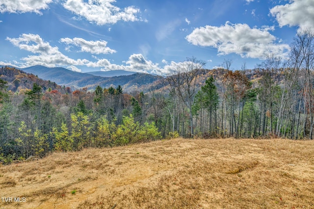 view of mountain feature