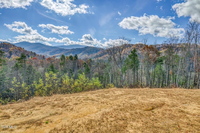 169 Teaberry Rd, Roan Mountain, TN 37687 - photo 51