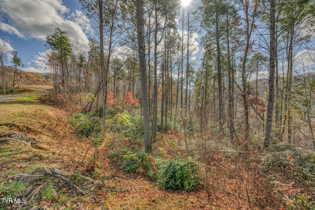 169 Teaberry Rd, Roan Mountain, TN 37687 - photo 57