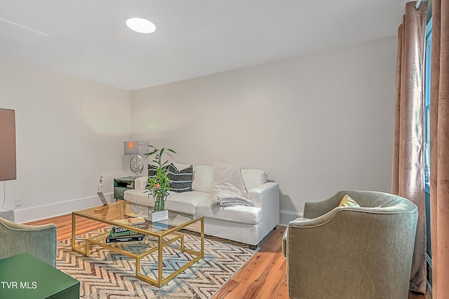 living room with hardwood / wood-style floors