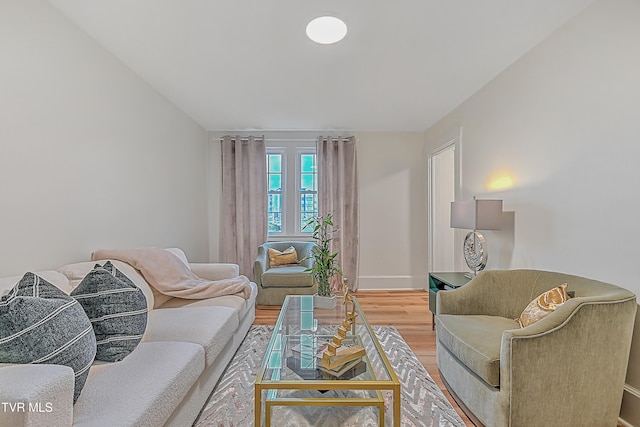 living room with hardwood / wood-style floors