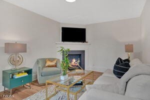 living room featuring light hardwood / wood-style floors