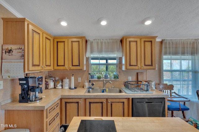 kitchen featuring sink, crown molding, stainless steel dishwasher, and a textured ceiling